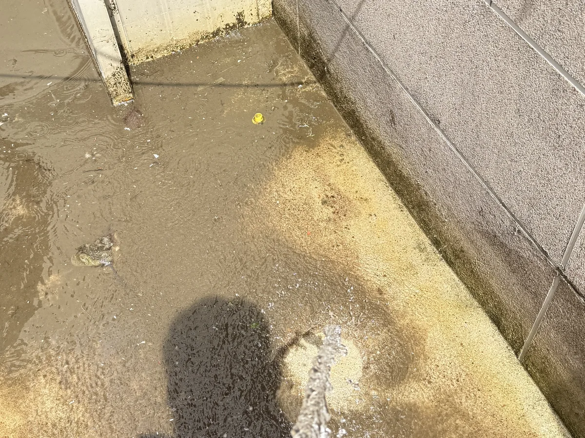 종로구 낙원동 배관 관리실·기계실 위생청소 사례 - 행진크린